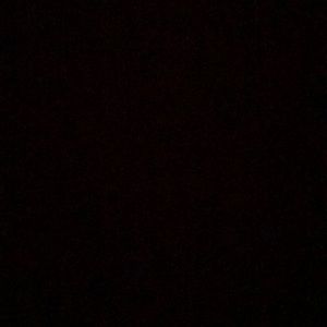 Meet your Posher, Layla